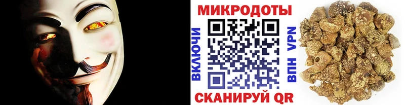 Псилоцибиновые грибы Psilocybe  Гусь-Хрустальный 